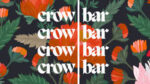 Ash Ambirge – The Crowbar Writing Workshop